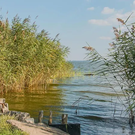 An Der Boddenweide Дом отдыха Борн