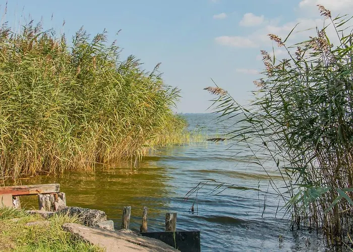 An Der Boddenweide 別荘 ボルン